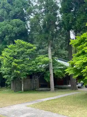 和気神社(鹿児島県)