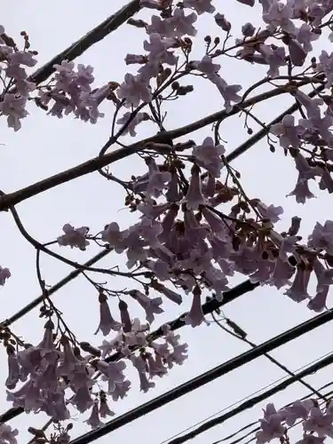 四谷於岩稲荷田宮神社(東京都)