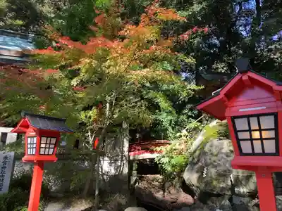 來宮神社(静岡県)