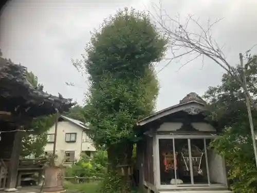 蛭子神社の自然