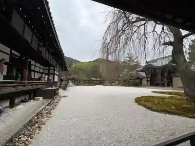 高台寺(高台寿聖禅寺・高臺寺)(京都府)