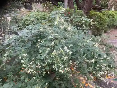 宝戒寺(神奈川県)