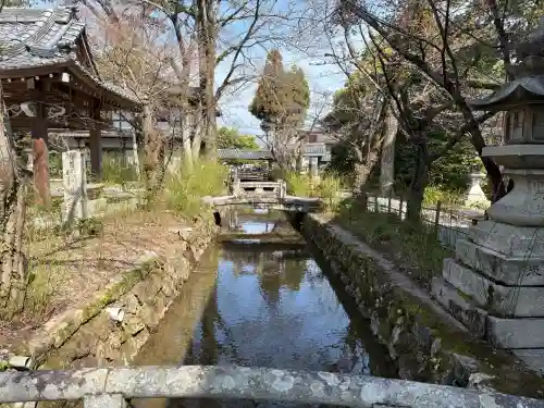 松尾大社の{uncategorized: "未分類", other: "その他", undefined: "問題あり", building: "その他建物", grave: "お墓", sacred_gate: "鳥居", guardian: "狛犬", statue: "像", buddha: "仏像", history: "歴史", nature: "自然", garden: "庭園", animal: "動物", pagoda: "塔", temizu: "手水舎", mountain_gate: "山門・神門", sanctuary: "本殿・本堂", subordinate: "末社・摂社", art: "芸術", scenery: "景色", jizo: "地蔵", ema: "絵馬", goshuin: "御朱印", omikuji: "おみくじ", items: "授与品その他", amulet: "お守り", goshuincho: "御朱印帳", eats: "食事", festival: "お祭り", votive_dance: "神楽", shichigosan: "七五三参", wedding: "結婚式", experience: "体験その他", initially: "初詣", around: "周辺", anti_infection: "感染症対策"}