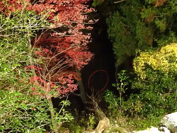 大山寺(神奈川県)