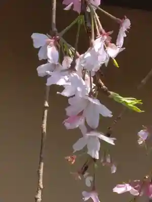 普門院(神奈川県)