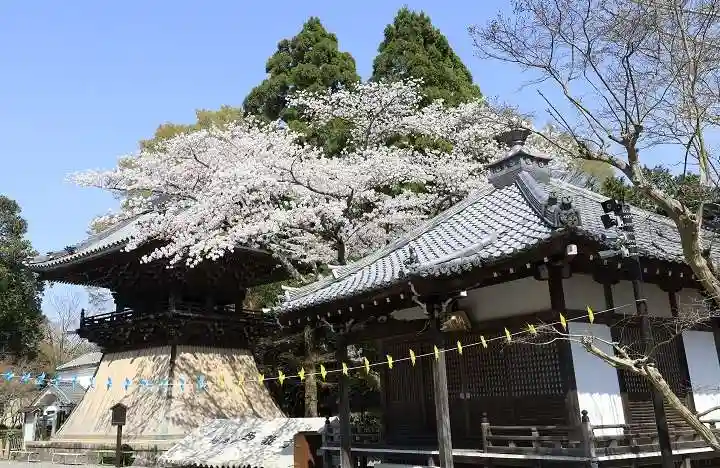 西教寺(滋賀県)