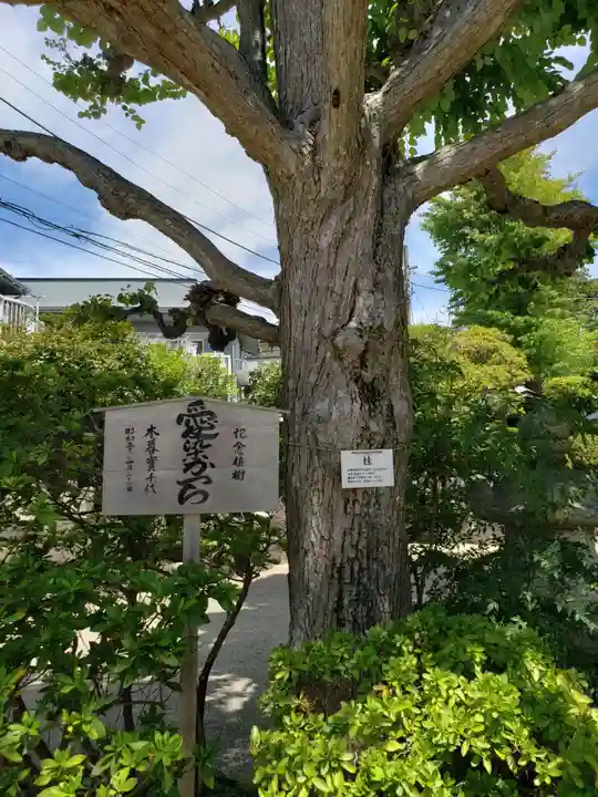 密蔵寺のその他建物