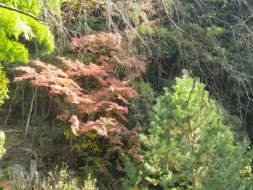 安國論寺（安国論寺）の自然