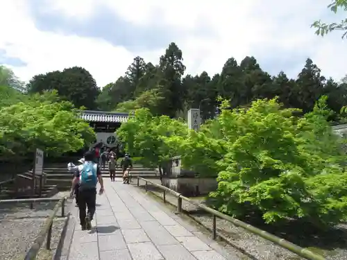 光明寺（粟生光明寺）のその他建物