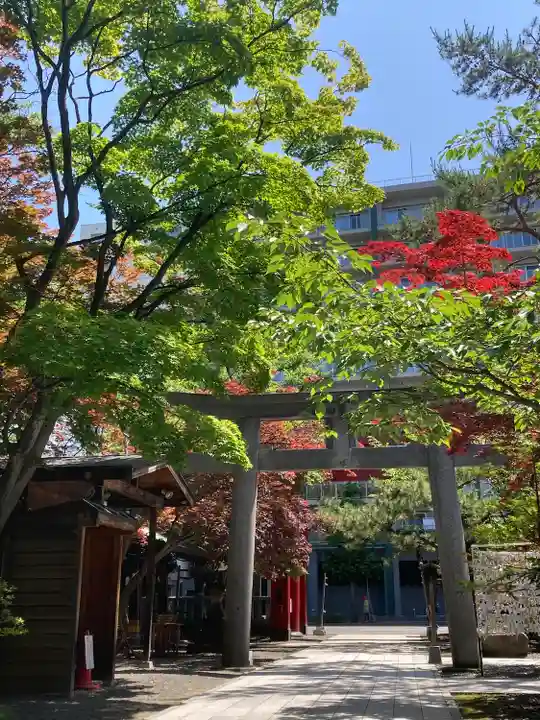 彌彦神社 (伊夜日子神社)の鳥居