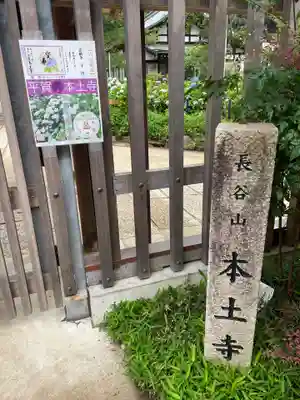 本土寺(千葉県)