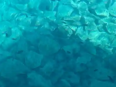 外泊天満神社の周辺