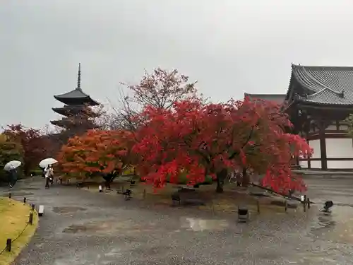 東寺（教王護国寺）(京都府)