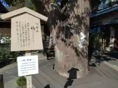 晴明神社の歴史