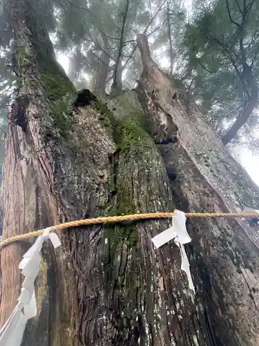 産安社（武蔵御嶽神社摂社）(東京都)