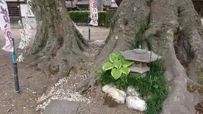 八枝神社(埼玉県)