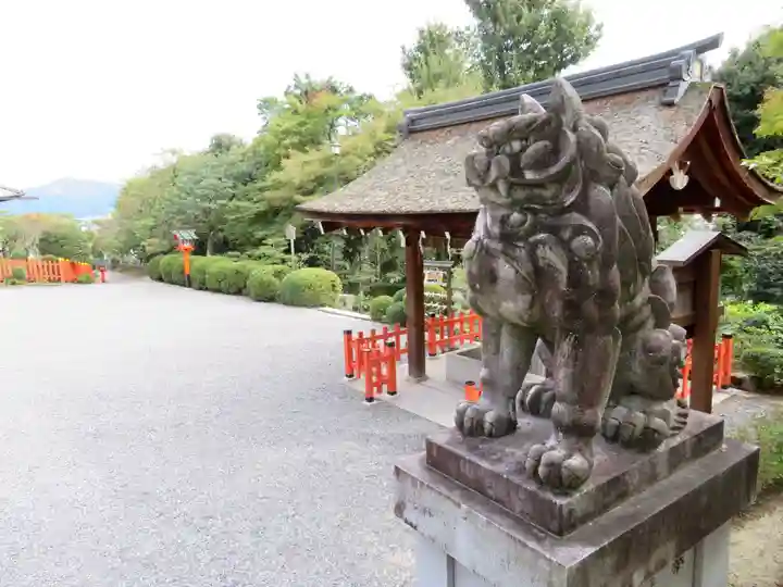 建勲神社の狛犬