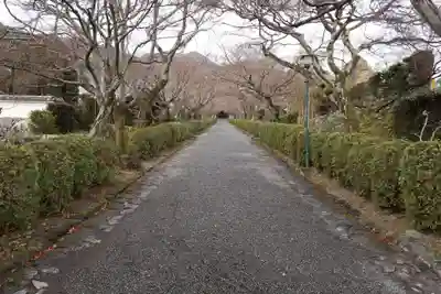 西教寺(滋賀県)