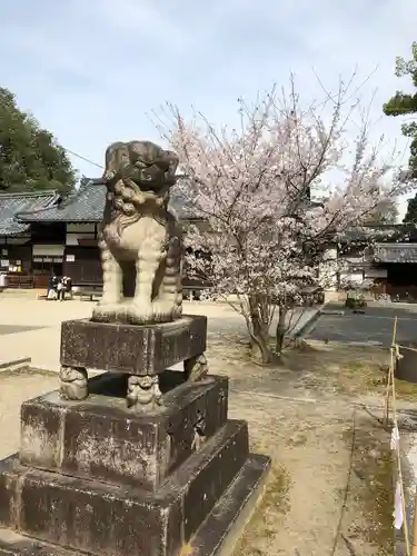 今宮神社の狛犬