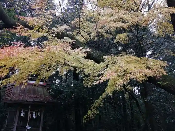 磯部稲村神社の自然