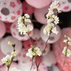 札幌諏訪神社(北海道)