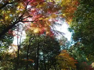 太皷谷稲成神社(島根県)