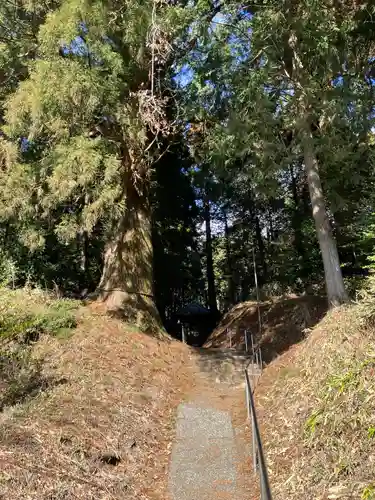 村山浅間神社(静岡県)