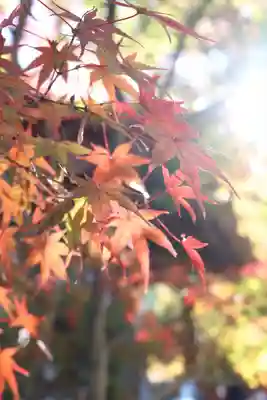 淨眞寺(東京都)