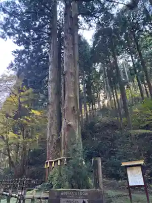 御岩神社(茨城県)