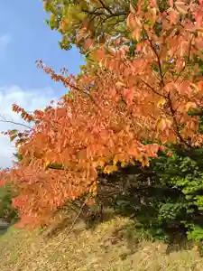 厚別神社(北海道)(2023年10月28日(土) 09時13分05秒投稿)