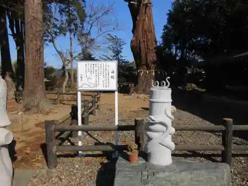 八幡宮の狛犬