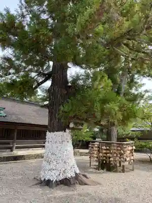 出雲大社(島根県)