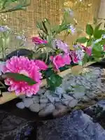 厚別神社の自然