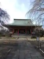 善導寺の本殿・本堂