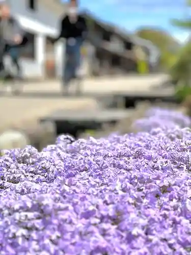白鳥神社(長野県)