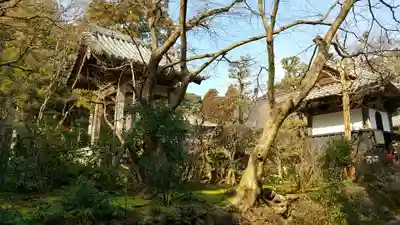 龍潭寺のその他建物