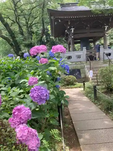 妙楽寺(神奈川県)