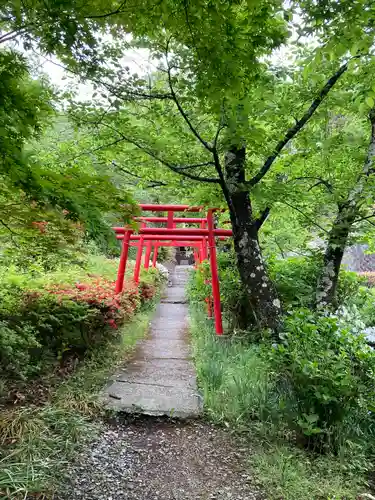 大善寺の鳥居