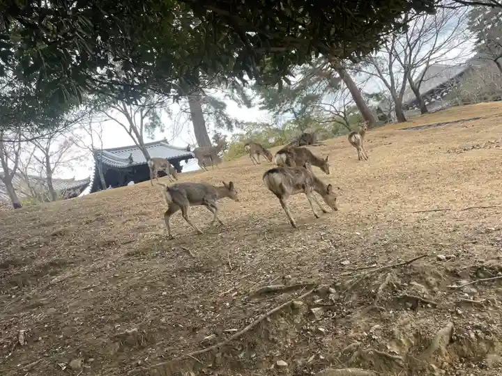 東大寺戒壇院戒壇堂(奈良県)
