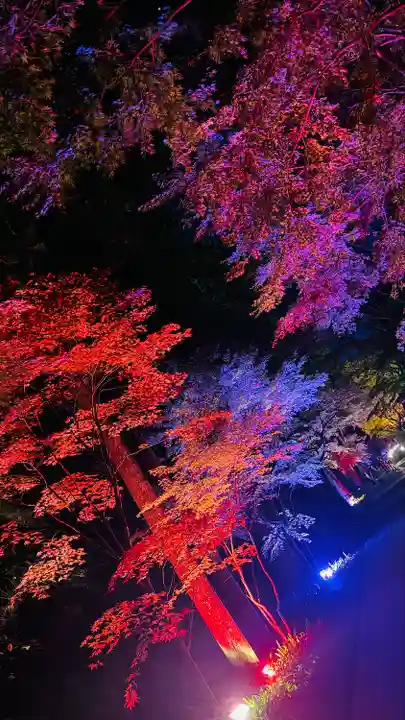 尊永寺(静岡県)