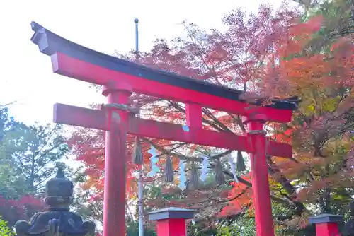 高尾山薬王院(東京都)