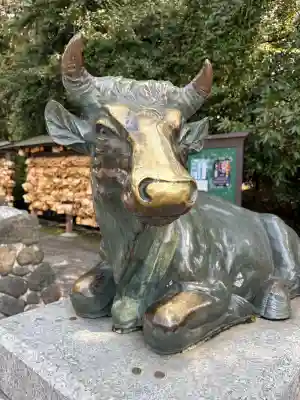 谷保天満宮の{uncategorized: "未分類", other: "その他", undefined: "問題あり", building: "その他建物", grave: "お墓", sacred_gate: "鳥居", guardian: "狛犬", statue: "像", buddha: "仏像", history: "歴史", nature: "自然", garden: "庭園", animal: "動物", pagoda: "塔", temizu: "手水舎", mountain_gate: "山門・神門", sanctuary: "本殿・本堂", subordinate: "末社・摂社", art: "芸術", scenery: "景色", jizo: "地蔵", ema: "絵馬", goshuin: "御朱印", omikuji: "おみくじ", items: "授与品その他", amulet: "お守り", goshuincho: "御朱印帳", eats: "食事", festival: "お祭り", votive_dance: "神楽", shichigosan: "七五三参", wedding: "結婚式", experience: "体験その他", initially: "初詣", around: "周辺", anti_infection: "感染症対策"}