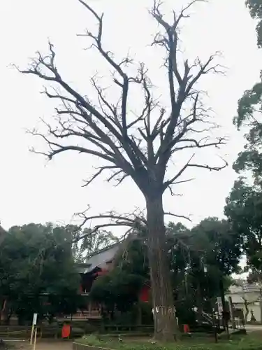 飯香岡八幡宮(千葉県)