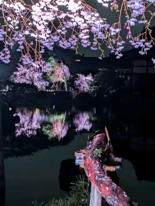 平安神宮の{uncategorized: "未分類", other: "その他", undefined: "問題あり", building: "その他建物", grave: "お墓", sacred_gate: "鳥居", guardian: "狛犬", statue: "像", buddha: "仏像", history: "歴史", nature: "自然", garden: "庭園", animal: "動物", pagoda: "塔", temizu: "手水舎", mountain_gate: "山門・神門", sanctuary: "本殿・本堂", subordinate: "末社・摂社", art: "芸術", scenery: "景色", jizo: "地蔵", ema: "絵馬", goshuin: "御朱印", omikuji: "おみくじ", items: "授与品その他", amulet: "お守り", goshuincho: "御朱印帳", eats: "食事", festival: "お祭り", votive_dance: "神楽", shichigosan: "七五三参", wedding: "結婚式", experience: "体験その他", initially: "初詣", around: "周辺", anti_infection: "感染症対策"}