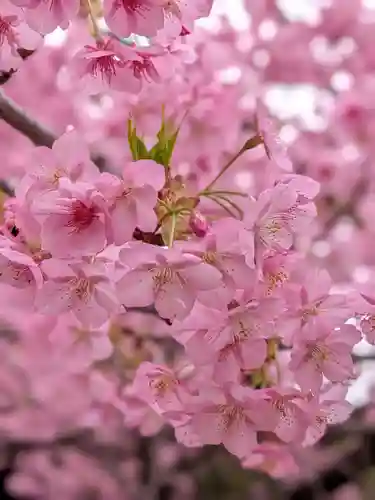 新宿下落合氷川神社(東京都)