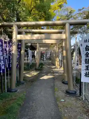 白金龍王社(愛知県)