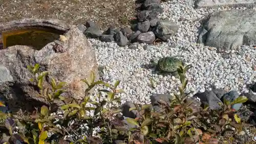 西光寺(滋賀県)