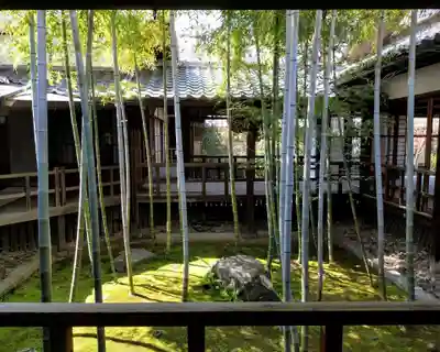 妙顯寺（妙顕寺）(京都府)