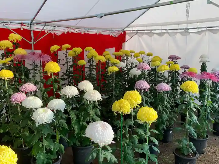 高靇神社の自然