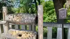 足利織姫神社(栃木県)